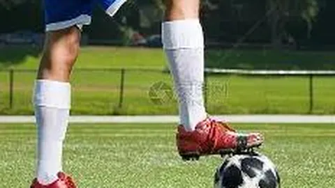 球盟会官方登录平台 产品 090341 heb