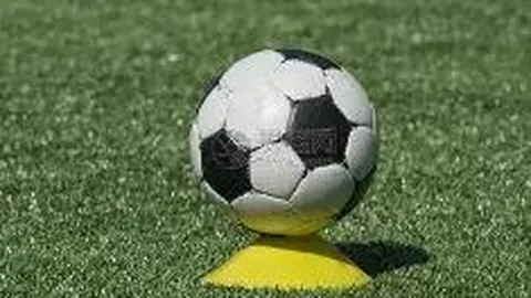 球盟会官方登录平台 资讯 095042 ysy