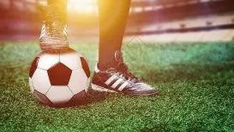 球盟会官方登录平台 资讯 094704 lfn