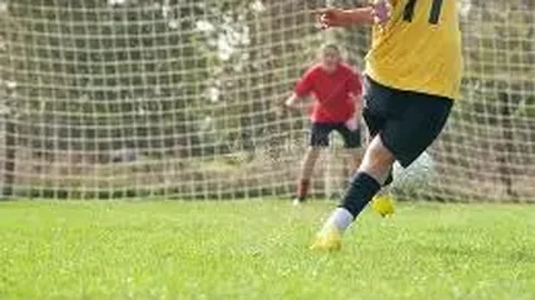 球盟会官方登录平台 产品 085534 ves